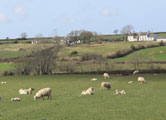 farm cottage holidays north wales