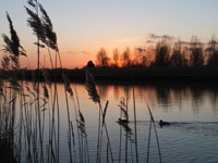 fabulous sunsets over the reed beds on the Norfolk Broads