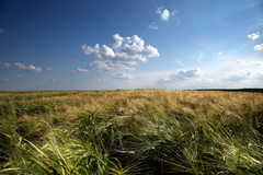 out in the countryside and fresh air