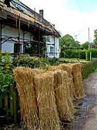 the straw and reeds used for thatching cottages